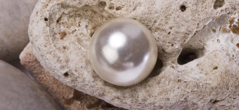 where to buy real pearls
