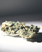 AA Green Chlorite Himalayan Cluster 5 Inch