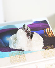 Hubnerite with Quartz 3inch