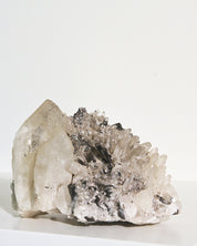 Hubnerite with Quartz 4inch