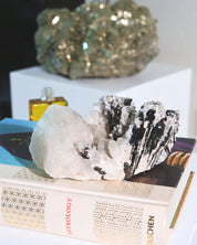 Hubnerite with Quartz 6 inch