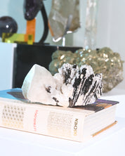 Hubnerite with Quartz 6 inch