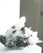 Hubnerite with Quartz 6 inch