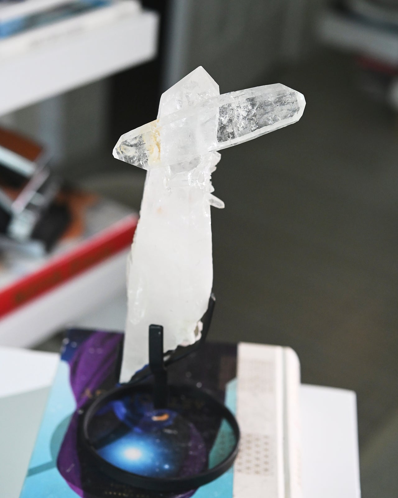 996--111x4x4---lemurian--4734.jpg