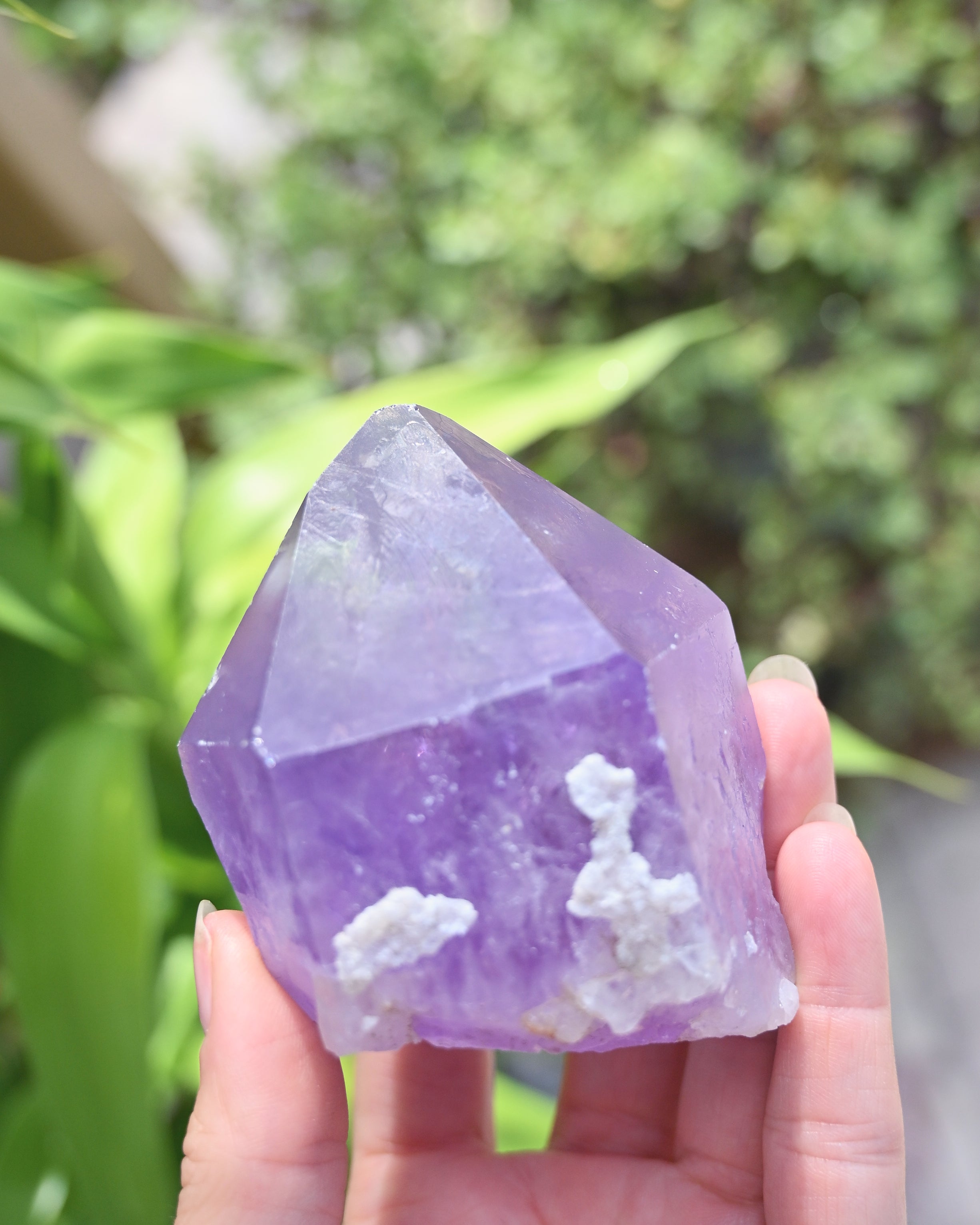 Rough Bolivian Amethyst Point