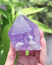 Rough Bolivian Amethyst Point