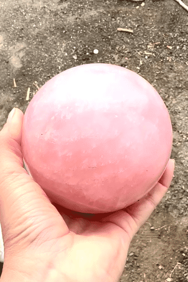 IMG_1124-low.gif