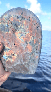 XL Purple Flash Labradorite Freeform 4.8lbs