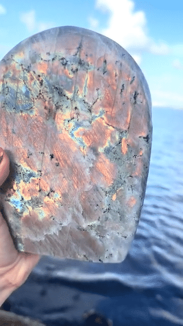 XL Purple Flash Labradorite Freeform 4.8lbs