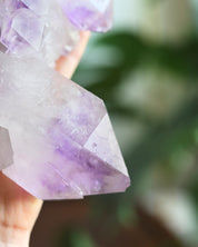 3.3lbs XL Bolivian Amethyst Cluster