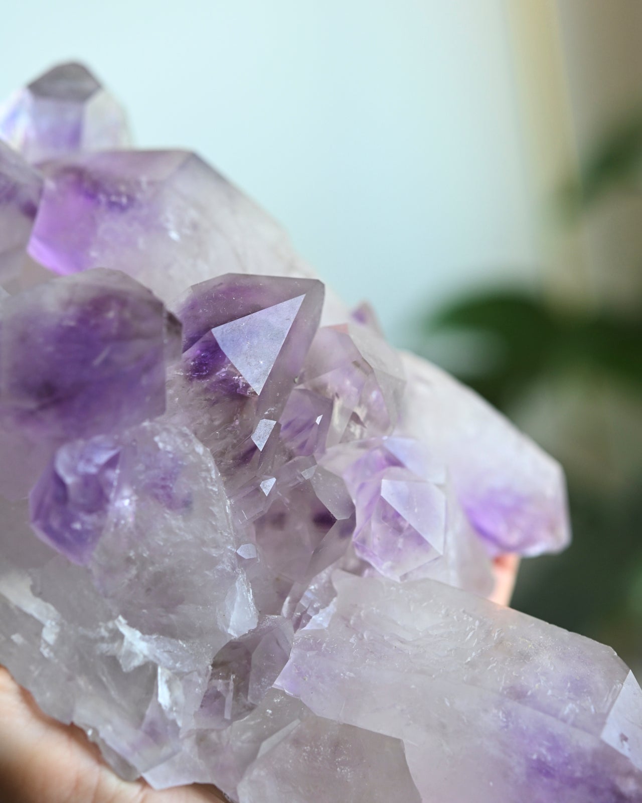 3.3lbs XL Bolivian Amethyst Cluster