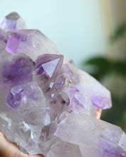 3.3lbs XL Bolivian Amethyst Cluster