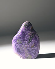 Charoite Freeform 3in