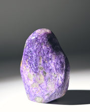 Charoite Freeform 3in