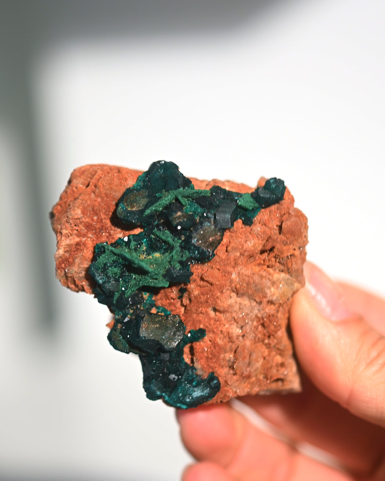 dioptase-22c--3x2--2815.jpg