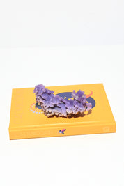 Grape Agate Cluster