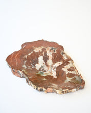 Rare Red Petrified Wood Slab 2.6lbs