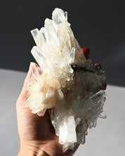 DT Lemurian Quartz Cluster