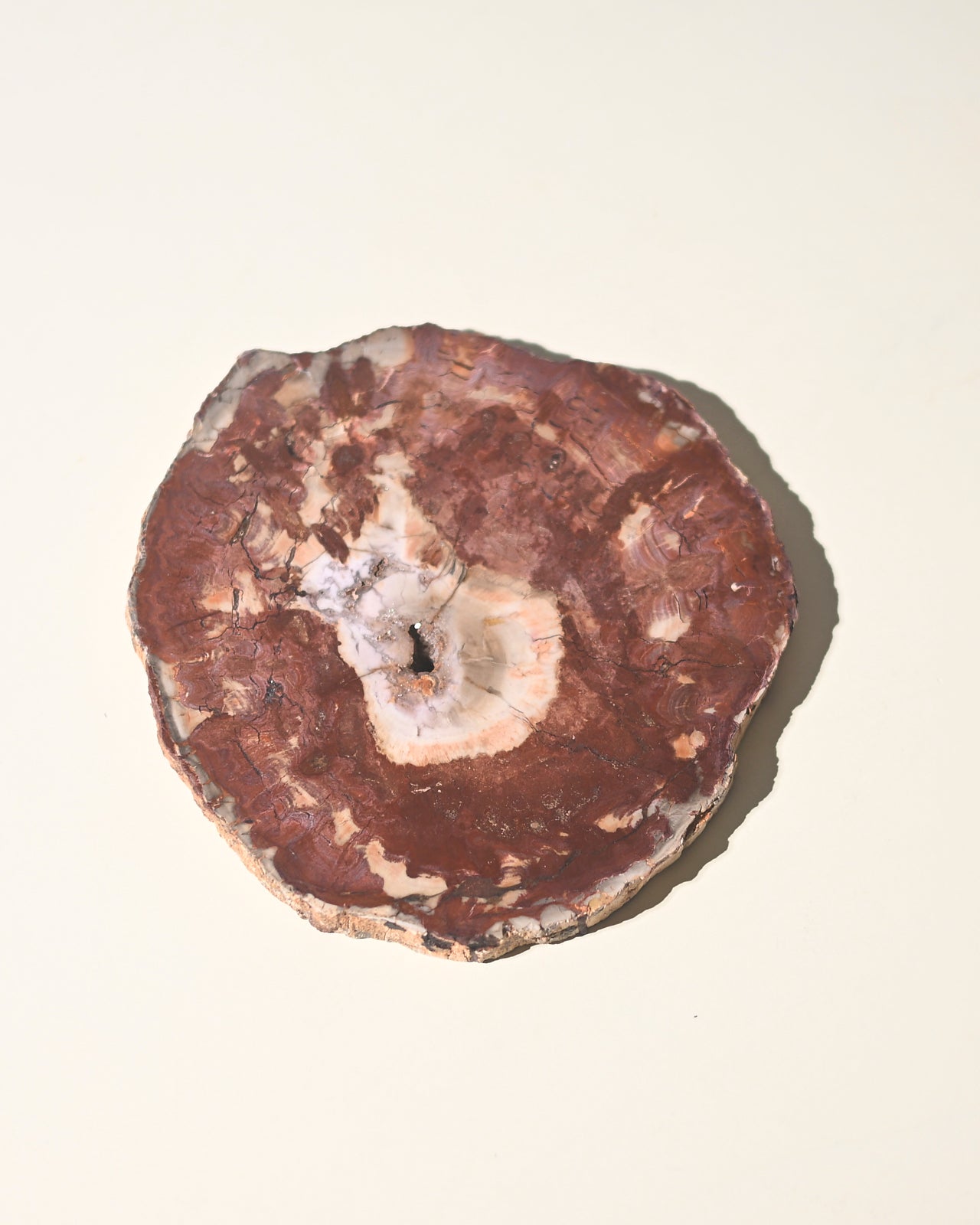pet-wood--1.2--8x7---3349.jpg