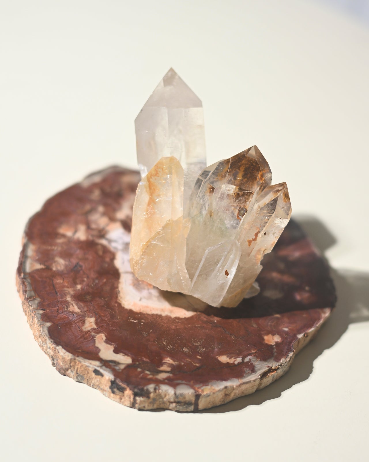 A polished petrified wood slab with a raw edge, displaying a natural red-brown color, with a cluster of clear crystals on top.
