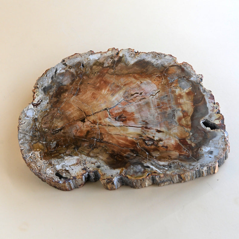 Petrified Wood Platter 7.7lbs