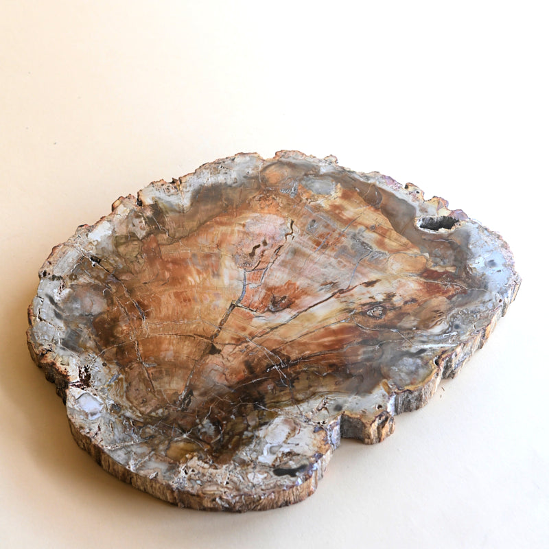 Petrified Wood Platter 7.7lbs