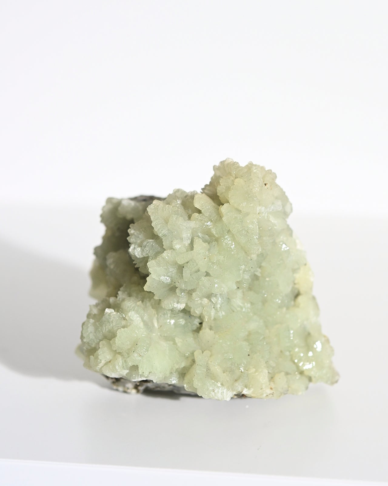 prehnite--md--3-4in-3884.jpg