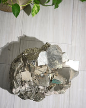 big pyrite for sale