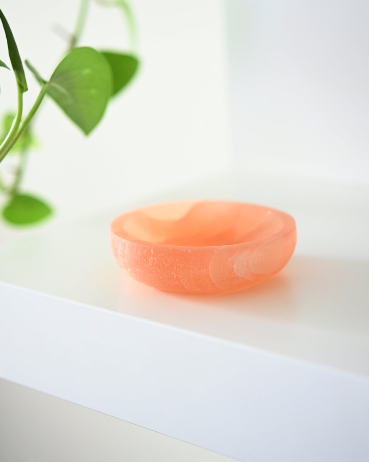 selenite-bowl--1006.jpg