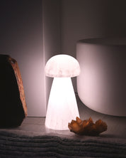 Selenite Mushroom Lamp