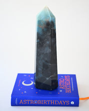 Statement Trolleite Tower 4.4lb