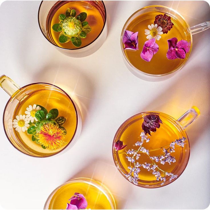 AYURVEDIC HERBAL SLEEP TEA: SHE SLEPT FOR 100 YEARS