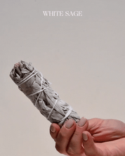 where to buy white sage