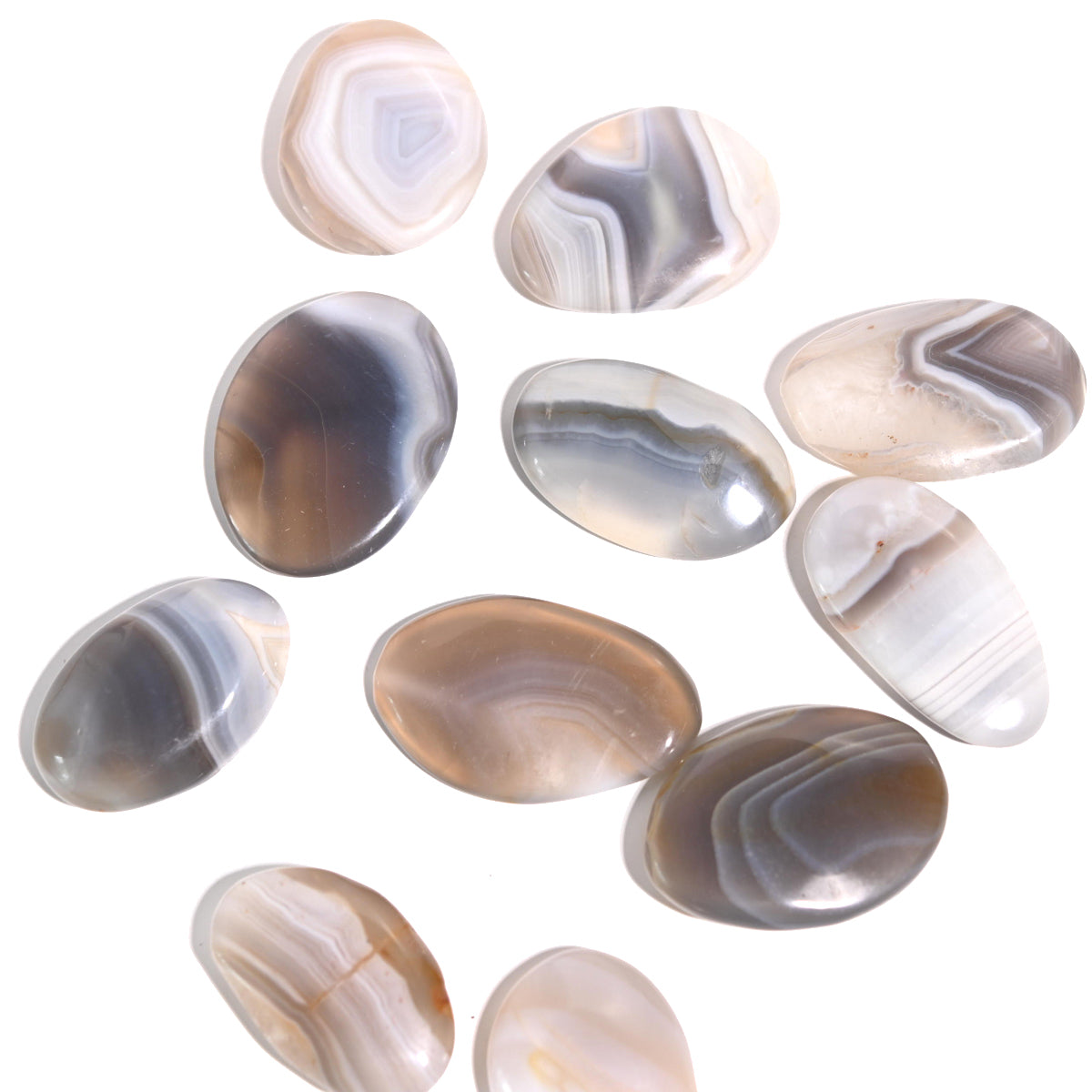 Agate Palm Stone