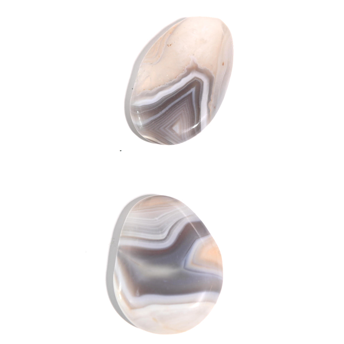 Agate Palm Stone