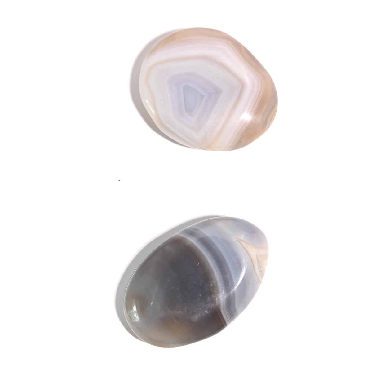 Agate Palm Stone