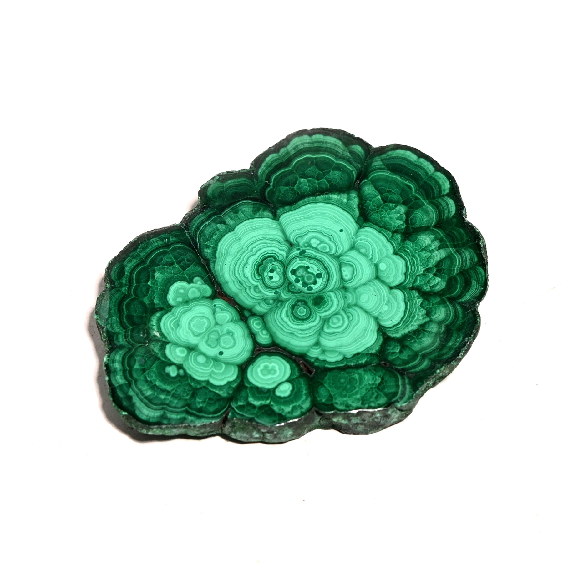 chrysocolla in malachite rare gemstones