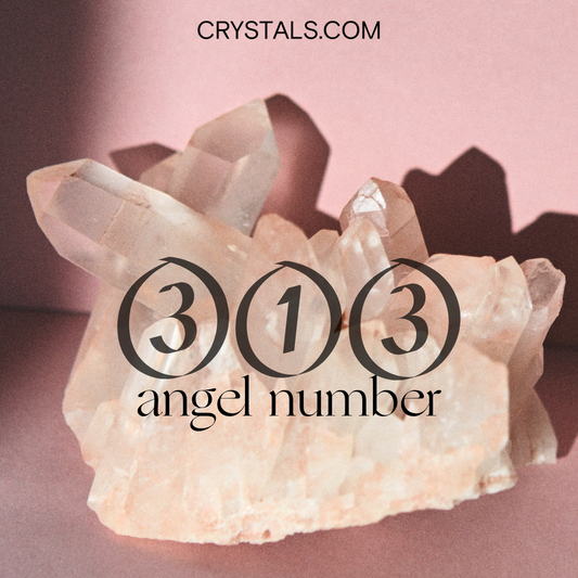 313 angel number meaning