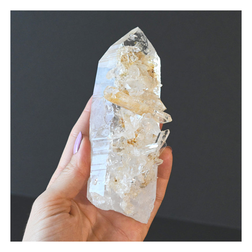 Golden healer lemurian quartz crystal 