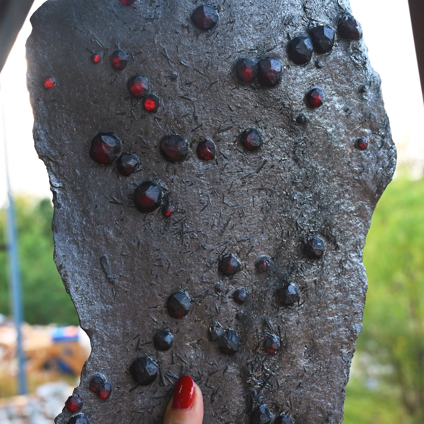Garnet in Graphite: Red Embers Mine Specimens | Museum-Grade Almandine