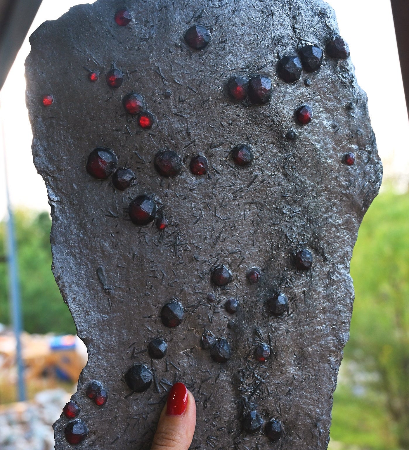Garnet in Graphite: Red Embers Mine Specimens | Museum-Grade Almandine