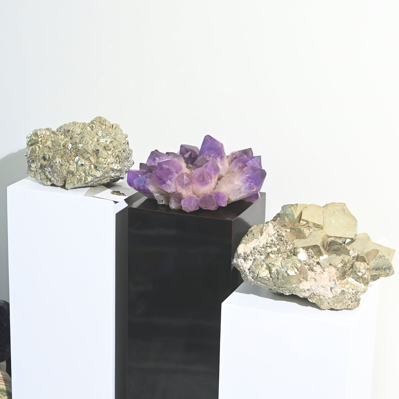 VIP Collector Edit – $250 Off Flash Sale