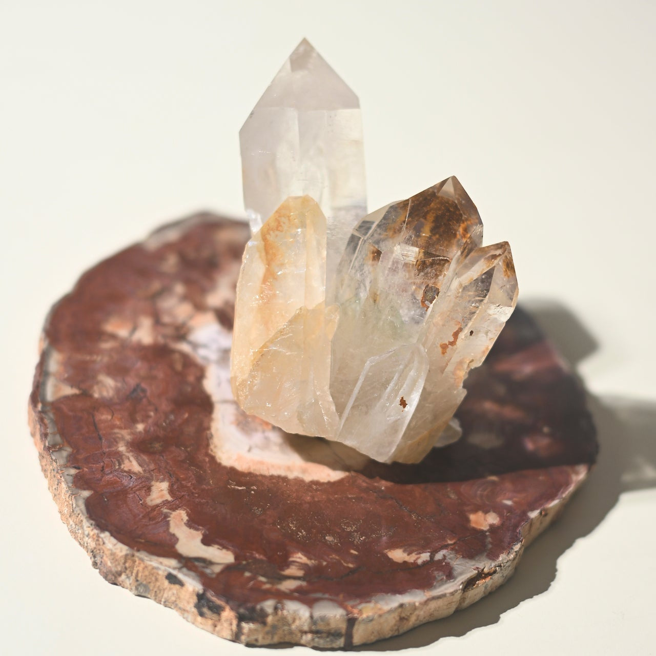 Petrified Wood Crystals for Sale 