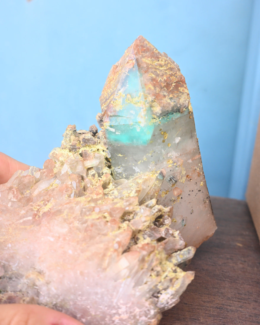 XL Very Rare Ajoite in Quartz