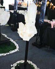 80lb Quartz Cluster ono Tall Stand