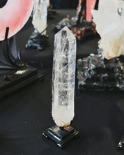 Natural Lemurian on stand 4.2lbs