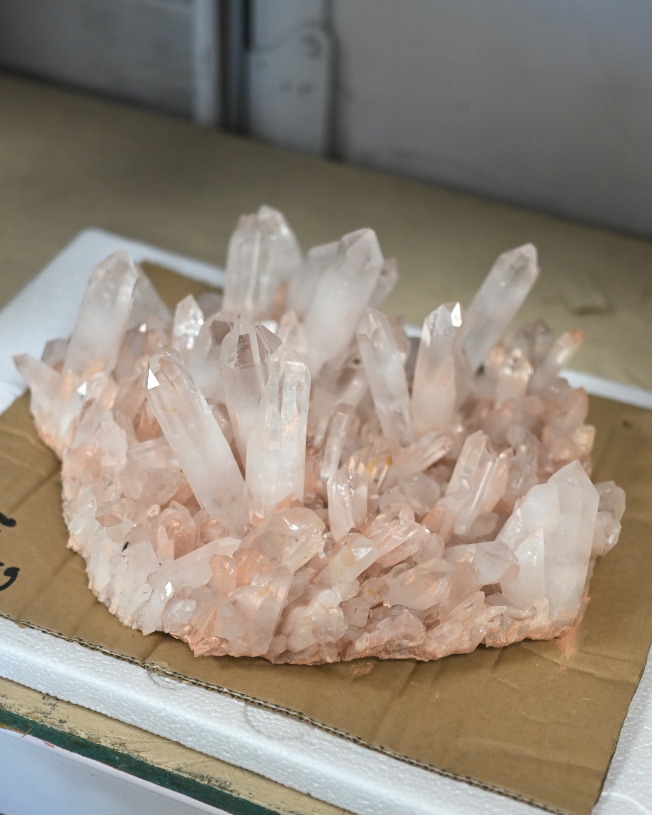 XXL 21 lb Statement Pink Quartz Cluster