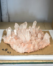 XXL 21 lb Statement Pink Quartz Cluster