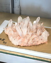 XXL 21 lb Statement Pink Quartz Cluster