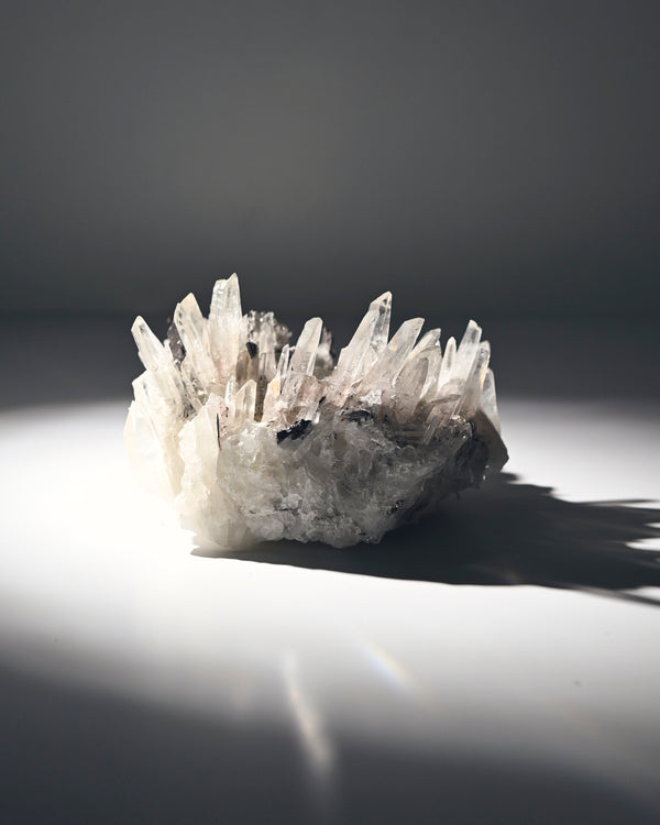 Hubnerite with Quartz 2.6lbs